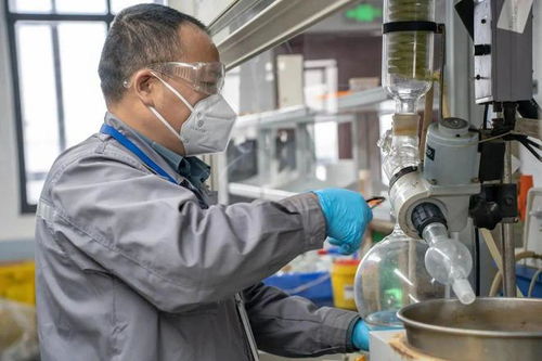 扎根幕后，奉獻(xiàn)最好技術(shù)服務(wù)——家校企社在地光芒行之工會(huì)站紀(jì)實(shí)